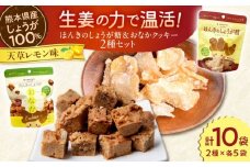 天草レモン味 ほんきのしょうが糖とほんきのしょうがおなかクッキー各５袋セット【ジンジベル】 [AYAD022]