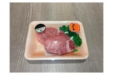 くまもと 黒毛和牛 和王 ヒレ ステーキ 約640g（約160g×4枚）【菊池地域農業協同組合】 [AYBR021]