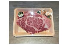 くまもと 黒毛和牛 和王 肩ロース ステーキ 約600g（約200g×3枚）【菊池地域農業協同組合】 [AYBR032]