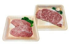 くまもと 黒毛和牛 和王 2種（サーロインステーキ・ミスジステーキ） 食べ比べ セット 計約700g（各2枚）【菊池地域農業協同組合】 [AYBR037]