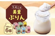 美里ぷりん(100ml×6個)【1209640】