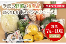 季節の野菜 詰め合わせ「スペシャルコース」【1469460】