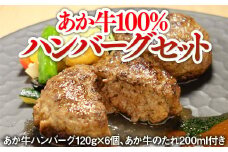 あか牛100%ハンバーグセット(あか牛ハンバーグ120g×6個 あか牛のたれ200ml)(美里町)【1444416】