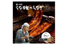 ヒロシのおすすめ!鰻の名店『うな雅』国産 手焼き 鰻＜特上＞かば焼き 3尾 540g～580g【1600557】