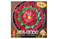 ＜国産馬刺し＞熊本直送　ブロック肉　赤身1kg(美里町)【1298692】