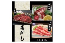 3種の馬刺し　300g＜赤身・フタエゴ・サガリ各100g＞(美里町)【1501962】