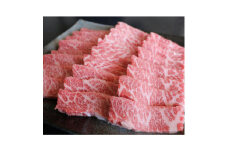 厳選されたGI認証　くまもとあか牛　特選焼肉用　500g(美里町)【1502428】