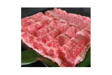 厳選されたGI認証　くまもとあか牛　特選すき焼き用　500g(美里町)【1502544】
