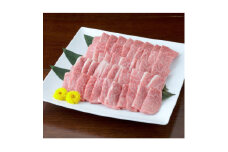 ＜黒毛和牛＞熊本県産　焼き肉用　カルビ600g(300g×2パック)　(美里町)【1527979】