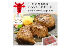 あか牛100%ハンバーグセット(あか牛ハンバーグ120g×6個)(美里町)【1542205】
