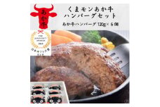 くまモンあか牛ハンバーグセット(あか牛ハンバーグ120g×6個)(美里町)【1542206】