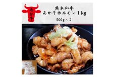熊本和牛あか牛ホルモン1kg(500g×2)(美里町)【1542401】