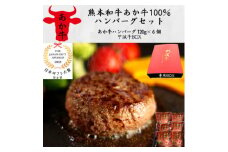 あか牛100%ハンバーグセット(あか牛ハンバーグ120g×6個)専用ボックス入り(美里町)【1542406】