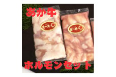 熊本県産　あか牛 牛小腸　ホルモンセット400g(200g×2パック)(美里町)【1555100】