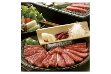 ＜毎月定期便＞GI認証くまもとあか牛　焼肉用400g(美里町)全6回【4050828】