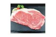 ＜毎月定期便＞肥後の赤牛 ロースステーキ 500g(熊本県産和牛)(美里町)全3回【4051284】