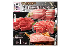 くまもと黒毛和牛「藤彩牛」厳選4種の贅沢セット(美里町)【1608132】