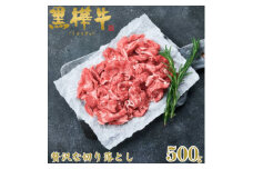 くまもと黒毛和牛 黒樺牛 A4～A5等級 牛肉切り落とし 500g＜杉本本店＞(美里町)【1617223】