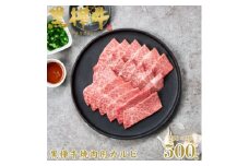 くまもと黒毛和牛 黒樺牛 A4～A5等級 牛肉カルビ 500g 250g×2＜杉本本店＞(美里町)【1617228】