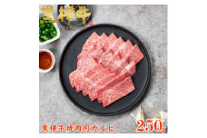 くまもと黒毛和牛 黒樺牛 A4～A5等級 牛肉カルビ 250g×1＜杉本本店＞(美里町)【1617810】