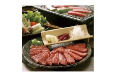 ＜GI認証＞くまもとあか牛 焼肉用500g(美里町)【1619171】