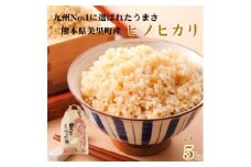 先行予約!令和7年産 新米 ヒノヒカリ 玄米 5kg×1袋 熊本県美里町＜本田農園＞【1647887】