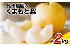 秋 旬 梨 期間限定 【日付指定不可】梨 『松田農園』の くまもと 梨 たっぷり 約2kg 5-7玉前後 予約 受付中 熊本県玉名郡玉東町『松田農園』なし 果物 スイーツ フルーツ デザート スムージー 《7月下旬-9月末頃出荷》 先行予約 SDG`s