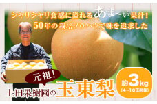 上田果樹園の元祖！玉東梨(旬の品種をお届けします)約3kg(4玉-10玉)  《7月下旬-9月下旬頃出荷》 熊本県玉名郡玉東町 なし 果物 スイーツ デザート