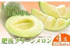 【先行予約】肥後グリーンメロン 4玉 児玉農園 1玉(1.8kg以上)《5月上旬-5月末頃出荷》メロン グリーンメロン 熊本県 玉東町 フルーツ 果物