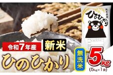 新米 令和7年産 無洗米 ひのひかり 5kg《9月下旬-11月上旬頃出荷》令和7年産 熊本県産 ふるさと納税 無洗米 精米 ひの 米 こめ ふるさとのうぜい ヒノヒカリ コメ お米 おこめ