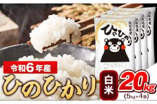 令和6年産 白米 ひのひかり 20kg《7-14日以内に出荷予定(土日祝除く)予定》令和6年産 熊本県産 ふるさと納税 白米 精米 ひの 米 こめ ふるさとのうぜい ヒノヒカリ コメ お米 おこめ