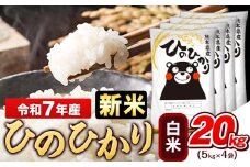 新米 令和7年産 白米 ひのひかり 20kg《9月下旬-11月上旬頃出荷》令和7年産 熊本県産 ふるさと納税 白米 精米 ひの 米 こめ ふるさとのうぜい ヒノヒカリ コメ お米 おこめ