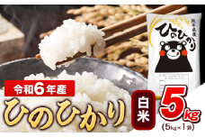 令和6年産 白米 ひのひかり 5kg《7-14日以内に出荷予定(土日祝除く)予定》令和6年産 熊本県産 ふるさと納税 無洗米 白米 精米 ひの 米 こめ ふるさとのうぜい ヒノヒカリ コメ お米 おこめ