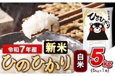 新米 令和7年産 白米 ひのひかり 5kg《9月下旬-11月上旬頃出荷》令和7年産 熊本県産 ふるさと納税 無洗米 白米 精米 ひの 米 こめ ふるさとのうぜい ヒノヒカリ コメ お米 おこめ