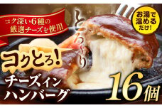 ハンバーグ チーズインハンバーグ 16個 湯せん で 温めるだけ デミグラス 《30日以内に出荷予定(土日祝除く)》 簡単 調理 惣菜 冷凍 牛 湯煎 人気 子供 こども 小分け チーズ ふるさと納税 熊本県 玉東町