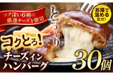 ハンバーグ チーズインハンバーグ 30個 湯せん で 温めるだけ デミグラス 《30日以内に出荷予定(土日祝除く)》 簡単 調理 惣菜 冷凍 牛 湯煎 人気 子供 こども 小分け チーズ ふるさと納税 熊本県 玉東町