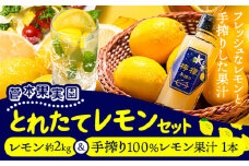 レモン 約2kg と 手搾り100％レモン果汁 1本 セット《12月中旬‐2月末頃出荷》熊本県 玉名郡 玉東町 菅本果実園 檸檬 レモンジュース レモネード はちみつレモン