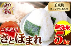 熊本県産 さとほまれ 無洗米 ご家庭用 5kg 《7-14日以内に出荷予定(土日祝除く)予定》熊本県 玉名郡 玉東町 米 こめ コメ ブレンド米 送料無料