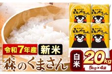 新米 令和7年産 森のくまさん 20kg 5kg × 4袋  白米 熊本県産 単一原料米 森くま《9月下旬-11月上旬頃出荷》 送料無料