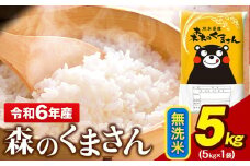 令和6年産 無洗米  森のくまさん 5kg × 1袋  熊本県産 単一原料米 森くま《7-14日以内に出荷予定(土日祝除く)予定》 送料無料