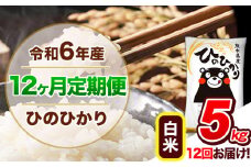 【12ヶ月定期便】令和6年産  定期便 ひのひかり 5kg 《申込み翌月から発送》令和6年産 熊本県産 ふるさと納税 白米 精米 ひの 米 こめ ふるさとのうぜい ヒノヒカリ コメ 熊本米 ひのもり