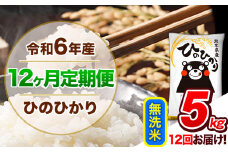 【12ヶ月定期便】令和6年産  定期便 無洗米 ひのひかり 5kg 《申込み翌月から発送》令和6年産 熊本県産 ふるさと納税 精米 ひの 米 こめ ふるさとのうぜい ヒノヒカリ コメ 熊本米 ひのもり