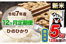 【12ヶ月定期便】新米 令和7年産  定期便 無洗米 ひのひかり 5kg 《申込み翌月から発送》令和7年産 熊本県産 ふるさと納税 精米 ひの 米 こめ ふるさとのうぜい ヒノヒカリ コメ 熊本米 ひのもり