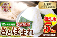 【12ヶ月定期便】熊本県産 さとほまれ 無洗米 ご家庭用 定期便 5kg 《申込み翌月から発送》熊本県 玉名郡 玉東町 米 こめ コメ ブレンド米 送料無料
