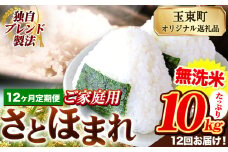 【12ヶ月定期便】熊本県産 さとほまれ 無洗米 ご家庭用 定期便 10kg 《申込み翌月から発送》熊本県 玉名郡 玉東町 米 こめ コメ ブレンド米 送料無料