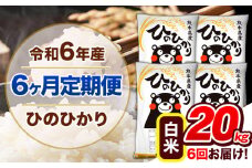 【6ヶ月定期便】令和6年産 定期便 ひのひかり20kg 《申込み翌月から発送》令和6年産 熊本県産 ふるさと納税 白米 精米 ひの 米 こめ ふるさとのうぜい ヒノヒカリ コメ 熊本米 ひのもり