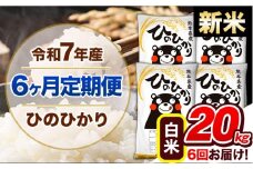 【6ヶ月定期便】新米 令和7年産 定期便 ひのひかり20kg 《申込み翌月から発送》令和7年産 熊本県産 ふるさと納税 白米 精米 ひの 米 こめ ふるさとのうぜい ヒノヒカリ コメ 熊本米 ひのもり