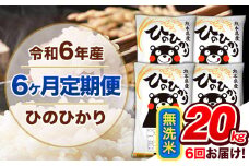 【6ヶ月定期便】令和6年産 定期便 無洗米 ひのひかり20kg 《申込み翌月から発送》令和6年産 熊本県産 ふるさと納税 精米 ひの 米 こめ ふるさとのうぜい ヒノヒカリ コメ 熊本米 ひのもり
