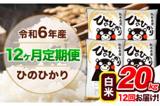 【12ヶ月定期便】令和6年産 定期便 ひのひかり20kg 《申込み翌月から発送》令和6年産 熊本県産 ふるさと納税 白米 精米 ひの 米 こめ ふるさとのうぜい ヒノヒカリ コメ 熊本米