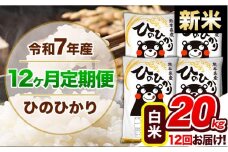 【12ヶ月定期便】新米 令和7年産 定期便 ひのひかり20kg 《申込み翌月から発送》令和7年産 熊本県産 ふるさと納税 白米 精米 ひの 米 こめ ふるさとのうぜい ヒノヒカリ コメ 熊本米